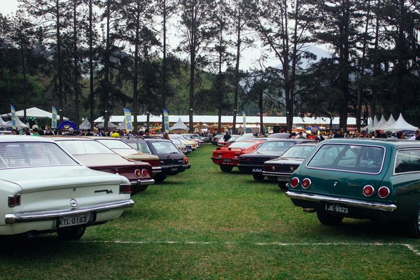 Les chemisiers pour femme : styles variés et prix irrésistibles